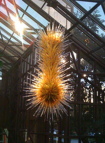 Index of /chihuly